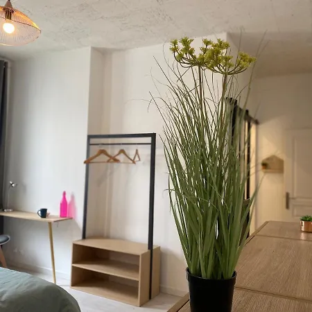 La Maison D'Angelique - Colocation Hoteliere A 150M Gare Tgv- Grande Cuisine Equipee & Salon - Fibre - Netflix Niort Exterior foto