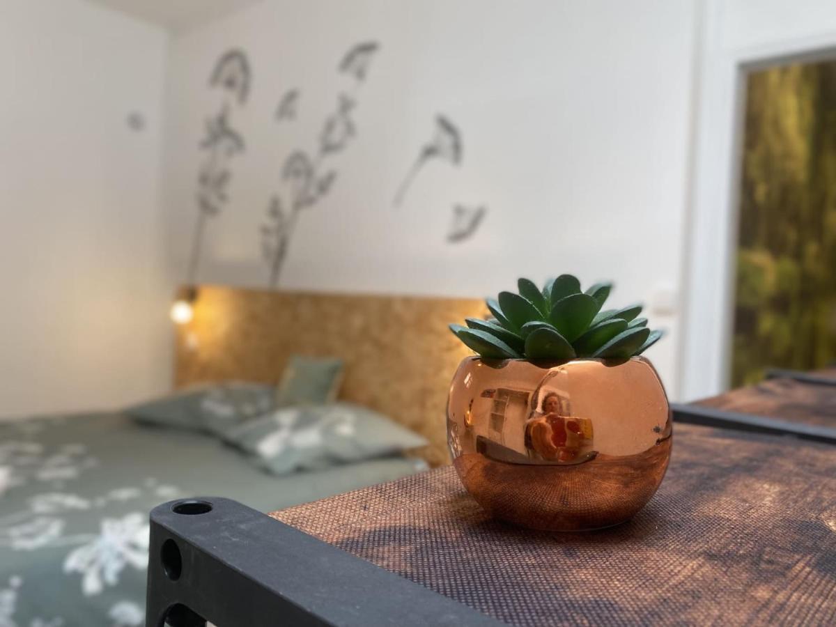 Homestay La Maison D'angelique: Gare-adjacent Colocation With Fiber & Netflix Niort